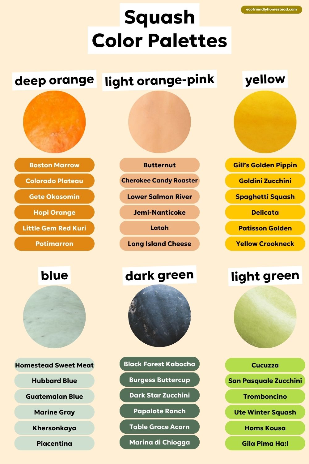 Squash Spectrum: The Ultimate Gardener's Guide to Varieties and Traits